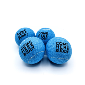 Set of 4 Come Here Buddy Tennis Balls in Sky Blue