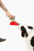 Watermelon Nosework Dog Toy