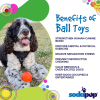 SP Smile Ball Ultra Durable Synthetic Rubber Chew Toy & Floating Retrieving Toy