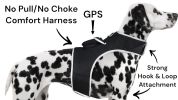 Collar Tag Dog Locator Rechargeable + Realtime Easy Pet GPS App System Size:XXL