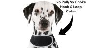 Enhanced GSM GPS Mini Pet Locator Tag Waterproof Dog/Cat Tracking Sys Size:XXL