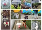 Pet Umbrella, Dog Umbrella with Leash Snow-Proof Rain Proof Windproof Umbrella