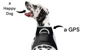 Waterproof Mini GSM GPS Cat/Dog Tracking Tag Rechargeable Pet Tracker Size:S