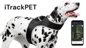 Mini Waterproof GPS Tracking Collars for Hunting Dogs w/ Tracking App Size:XXL